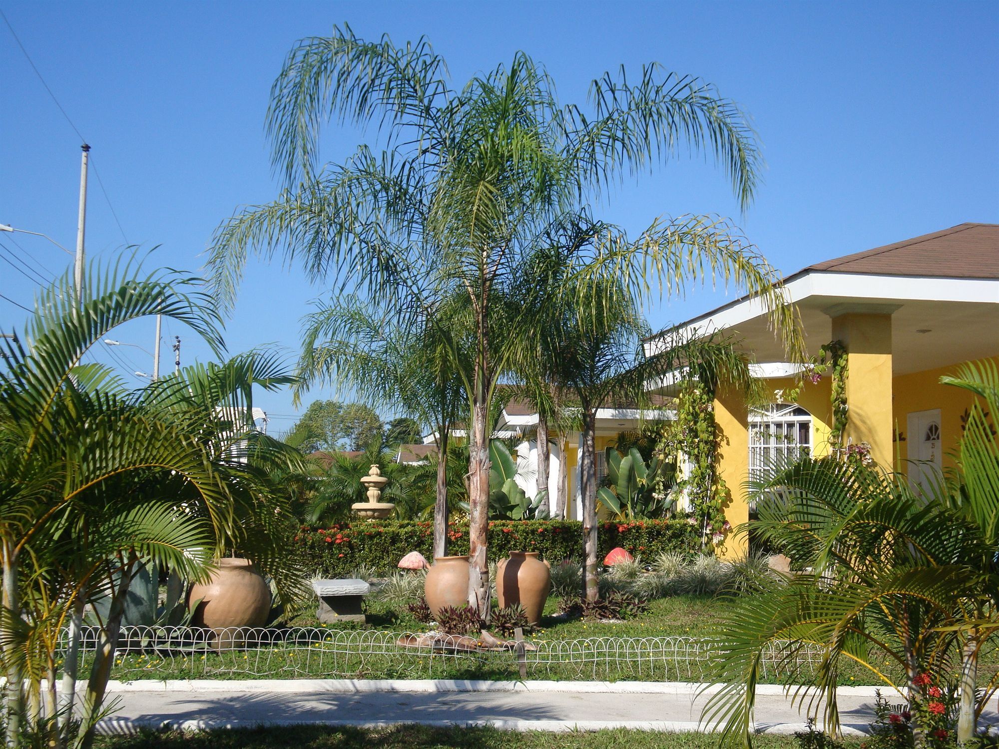Hotel Palma Real Sambo Creek Dış mekan fotoğraf