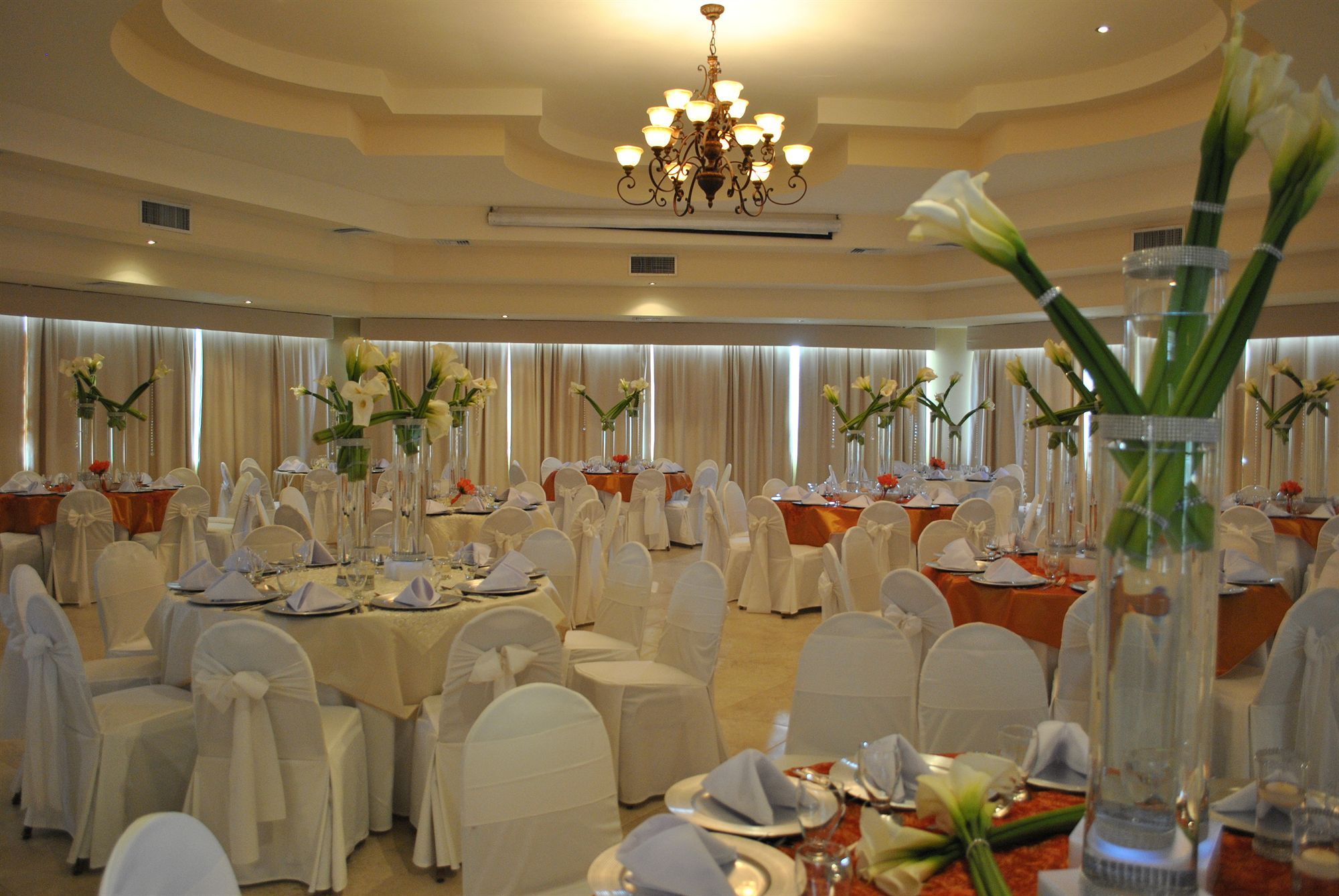 Hotel Palma Real Sambo Creek Dış mekan fotoğraf