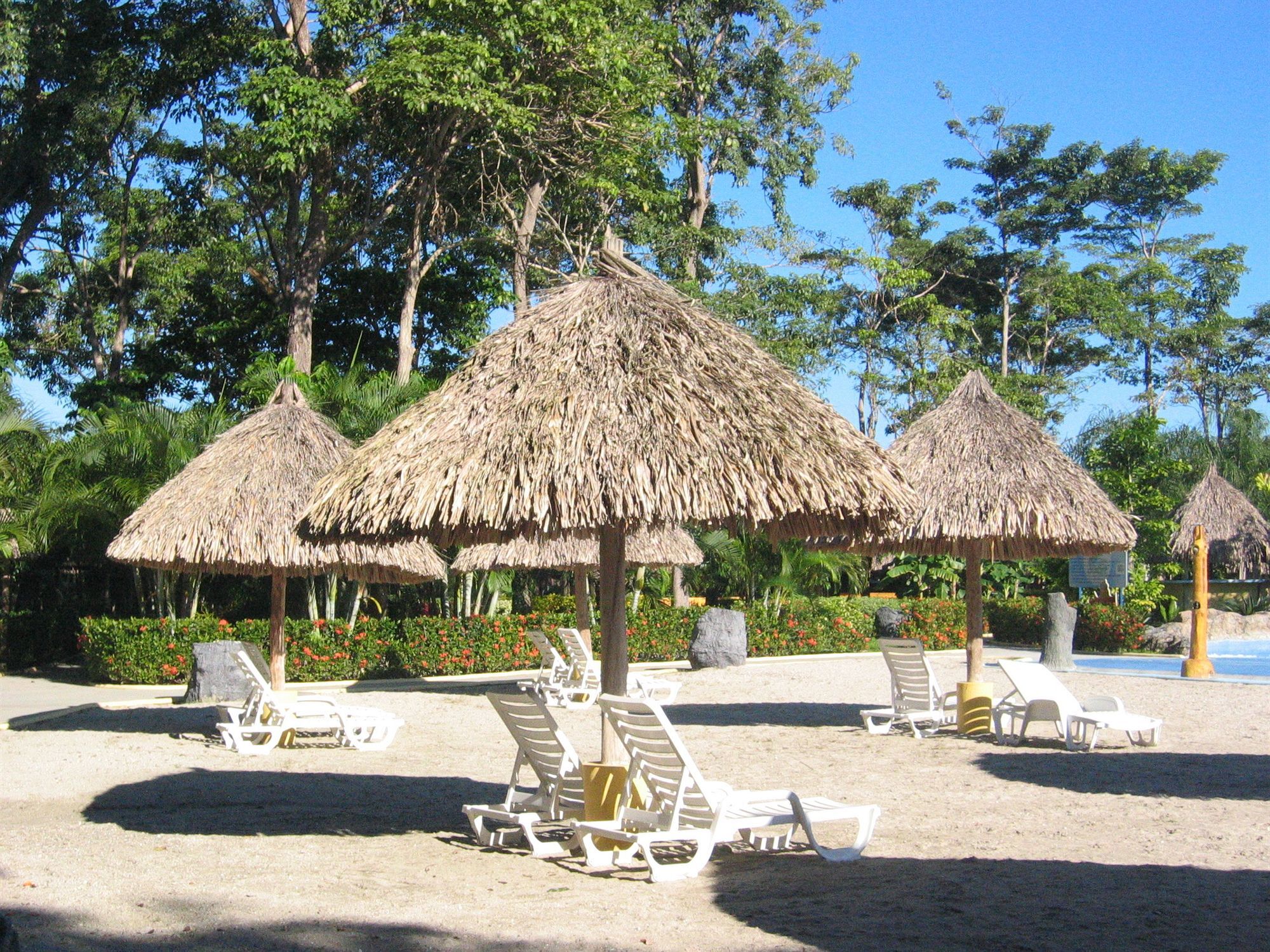 Hotel Palma Real Sambo Creek Dış mekan fotoğraf